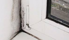 Schimmel Am Fenster Oder Fensterrahmen Einfach Entfernen