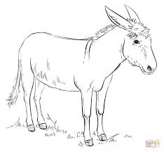 Donkey Coloring Page Free Printable Coloring Pages Donkey Drawing Drawing Tutorial Animal Drawings