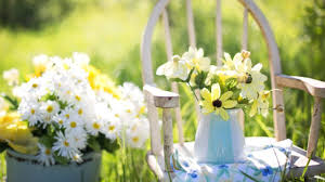 Maybe you would like to learn more about one of these? 14 U Pick Flower Farms For A Day Trip In Ontario To Do Canada