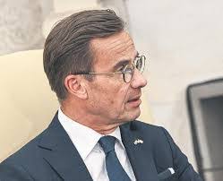 Dorcas Alvarez's Instagram, Twitter & Facebook