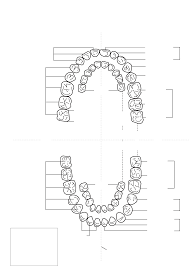 tooth numbering chart free download