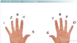 Tally Chart Definition Examples Video Lesson