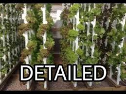 Hydroponic system के बारे में जाने सबकुछ grow plants in from www.pinterest.com. How To Detailed Vertical Hydroponics Youtube