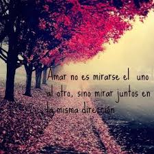 Nunca pensé que mi mejor amigo sería el amor de mi vida. Frases Para Estados De Whatsapp Cortos De Amor Imagenes Para Whatsapp