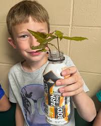 Flambeau School District