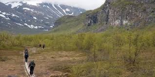 Mountain nature and landscape captured in 4k ultra hd from åre in northern sweden during the summer. Right Of Public Nature Access In Sweden Visitnordic