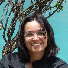 Young Investigator Symposium 2017