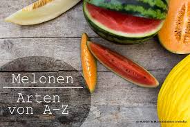 Wassermelonen und zuckermelonen (die beliebteste hierbei ist die honigmelone) sind ein idealer durstlöscher an heißen sommertagen. Melonenarten Von A Z 12 Melonensorten Bestimmen Mit Bildern