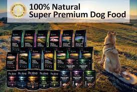 Profine Dog Cat Reunion Home Facebook