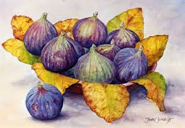Http Johndimech Com Wp Content Gallery Other Figs0028 Jpg John Dimech Artist Illustration Botanique