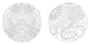 You can use our amazing online tool to color and edit the following tropical coloring pages. Millie Marotta S Tropical Wonderland A Colouring Book Adventure Amazon De Marotta Millie Fremdsprachige Bucher