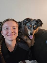 Anyone else's Aussie love the top of the couch?