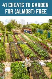 41 Cheats To Garden For Almost Free In 2020 Vegetable Garden Design Plants Home Vegetable Garden