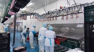 Peste 4401 de joburi disponibile! Locuri De Munca Ziarul De Vaslui