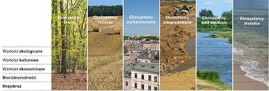 Usługi ekosystemowe w zarządzaniu układami przyrodniczymi