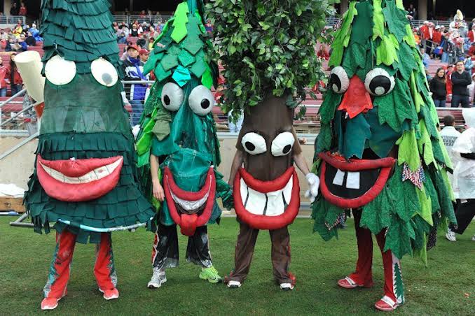 El Palo Alto – the Stanford Tree – Microbiome Digest – Bik's Picks
