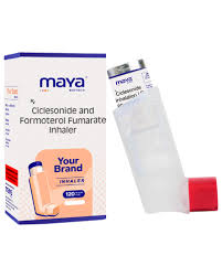 Image result for Inhaled Ciclesonide