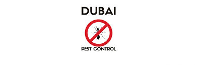 Professional pest control services in dubai available for homes, offices, warehouses, labor camps, schools, hospitals, and commercial spaces. The 6 Best Options For Pest Control Services In Dubai To Handle Any Situation 2021