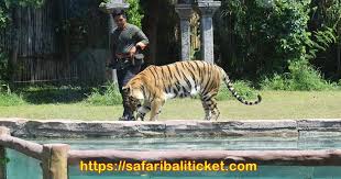 Jadwal pengiriman jne, jnt, sicepat, dan tiki selama libur lebaran 2021 ada yang buka & tutup. Jadwal Pertunjukan Bali Safari Marine Park 2019 2020