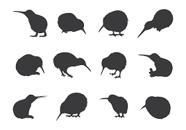 Kiwi Bird Silhouettes Bird Silhouette Kiwi Bird New Zealand Tattoo