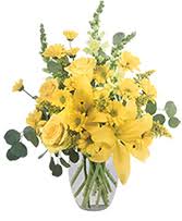 Check spelling or type a new query. Anniversary Flower Pictures Anniversary Gifts Flower Shop Network
