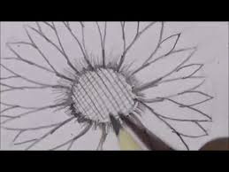 Lpwart sunflower canvas wall art bathroom decor black and white flower wall decor yellow sunflower picture prints for girls kids bedroom framed artwork easy to hang 14x14 home decor 4.7 out of 5 stars 550 Draw Step By Step Sketch Sunflower Easy Drawings Sketching Tutorial Youtube
