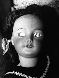 Image result for Marquesia