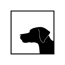 During the pandemic, the number of reported pet scams has more than doubled, says the better business bureau (bbb). Home The Canine Review