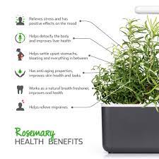 Before you start the job of pruning rosemary, be sure that your garden shears are nice and sharp. Rosemary Plant Pods Click Grow