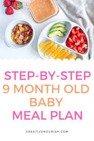 Interestingly enough, there was once a time—somewhere back in the distant '70s—when people were actually excited about cook. 9 Month Old Meal Plan Nutritionist Approved Creative Nourish In 2020 Meal Planning Baby Food Recipes Baby Meal Plan