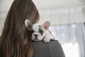 To ensure they remain happy and healthy if you are looking to welcome a new pet into your home and family, look no further than petco. New Year New Pet Petco Offers Tips For Prioritizing Pet Health And Wellness In 2021