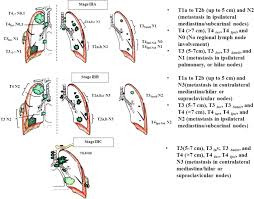 The most common symptoms of patients with late stage lung cancer are difficulty breathing (dyspnea), cough, fatigue, loss of appetite (anorexia), weakness due to ill health and malnutrition associated weight loss (cachexia), and pain. Unmet Clinical Need In The Management Of Locally Advanced Unresectable Lung Cancer Treatment Strategies To Improve Patient Outcomes Springerlink