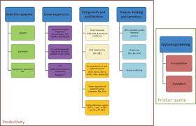 Wide range of cell culture and media systems for effective discovery & research. Therapeutic Glycoprotein Production In Mammalian Cells Sciencedirect