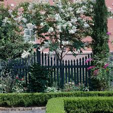 The best flowering trees for residential gardens. The Best Small Trees Better Homes Gardens
