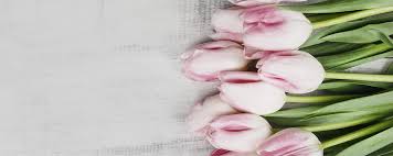 Promoting and supporting local florists is important to us, without our network of only the best florists through the united kingdom. Order Flowers Online From London Sympathy Flora Choose The Best Flower Shop In London