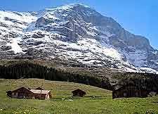 Asllani's corner höheweg 94 3800 interlaken Visiting Hohematte Park Interlaken S Photos Map Information Near Restaurants Near Attractions Near Hotels Hohematte Park