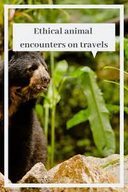 Site Search Discovery Powered By Ai Eco Travel Green Travel Responsible Travel