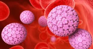 Human papillomavirus infection (hpv infection) is an infection caused by human papillomavirus (hpv), a dna virus from the papillomaviridae family. Hpv Causes More Than Cervical Cancer Phillyvoice