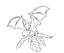 Pin On Bats