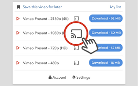 Just as a side note for new users: Video Downloader Professional For Google Chrome Google Extension