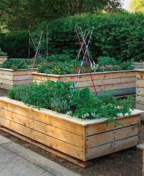 Stylish Raised Beds Vegetable Gardener Garden Beds Vegetable Garden Raised Beds Vegetable Garden Design