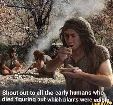 Shout Out To All The Early Humans Wh A Di Ed Flguring Out Which Plants Were Edi Ifunny Early Humans Ancient Humans Oldest Human
