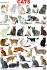 List of Cat Breeds | Petfinder