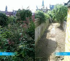 Find and mark all the plant's base roots. It S A Jungle Out There How To Clear An Overgrown Garden