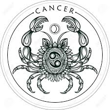 Meaning the tattoo of the zodiac cancer can become a business card of a person or be its talisman, an amulet for life. Hand Drawn Romantic Beautiful Line Art Of Zodiac Cancer Vector Royalty Free Cliparts Vectors And Stock Illustration Image 58047142