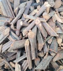 Image result for Paullinia pinnata