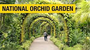 8,615 likes · 54 talking about this · 57,800 were here. Pin On Orchids