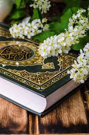 Quranicaudio is your source for high quality recitations of the quran. Quran Holly Book Of Islam With Spring Flowers And Blue Scarf On Wooden Background Selective Focus On Book Islamic Wallpaper Quran Wallpaper Quran