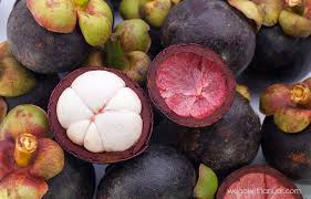 Image result for malaysian fruits name
