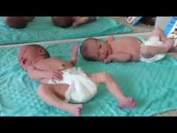 Kebanyakan masyarakat indonesia berharap supaya janin dalam kandungannya berkulit putih. Inilah 6 Jenis Makanan Ibu Hamil Agar Kulit Bayi Putih Bersih Sejak Dalam Kandungan Youtube